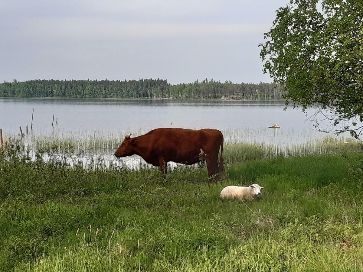 Villa Hyvoelaen Moekit Ähtäri Esterno foto